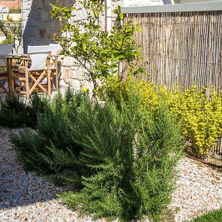 ניקיטי Arthill Eco Villas מראה חיצוני תמונה