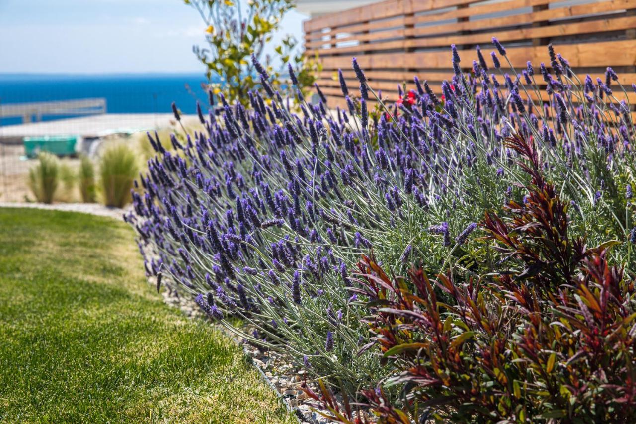 ניקיטי Arthill Eco Villas מראה חיצוני תמונה